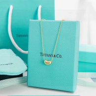 Tiffany Necklace (134)