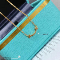 Tiffany Necklace (10)