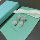Tiffany Earrings (59)