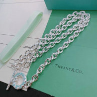 Tiffany Necklace (39)