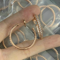 Tiffany Earrings (173)