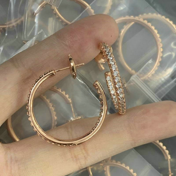 Tiffany Earrings (173)