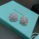 Tiffany Earrings (200)