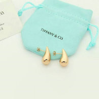 Tiffany Earrings (154)