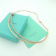 Tiffany Necklace (35)