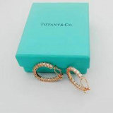 Tiffany Earrings (234)