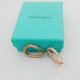 Tiffany Earrings (234)