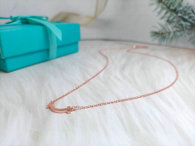 Tiffany Necklace (170)