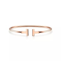 Tiffany-Bracelet (165)