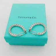 Tiffany Earrings (235)