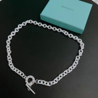 Tiffany Necklace (262)