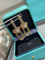 Tiffany Earrings (5)