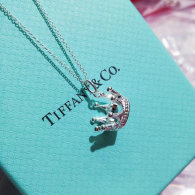 Tiffany Necklace (73)