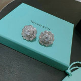 Tiffany Earrings (55)