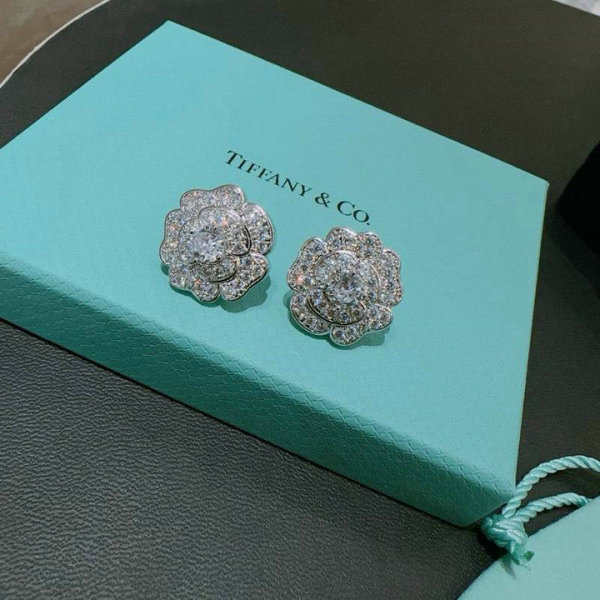Tiffany Earrings (55)