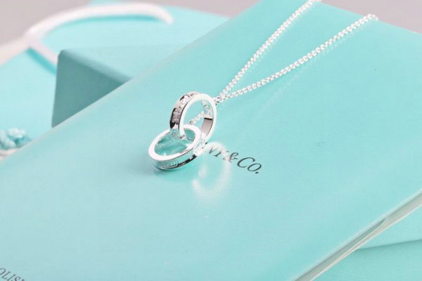 Tiffany Necklace (213)