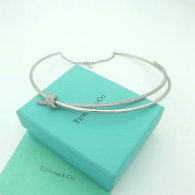 Tiffany Necklace (34)