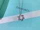 Tiffany Necklace (128)