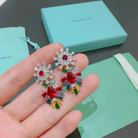 Tiffany Earrings (58)