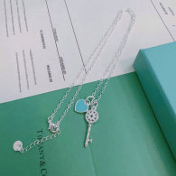 Tiffany Necklace (70)