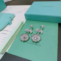 Tiffany Earrings (205)