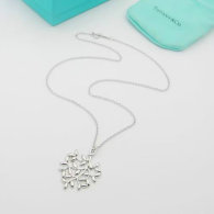 Tiffany Necklace (28)