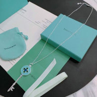 Tiffany Necklace (316)