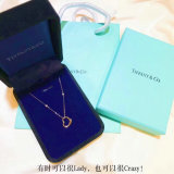 Tiffany Necklace (76)