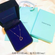 Tiffany Necklace (76)