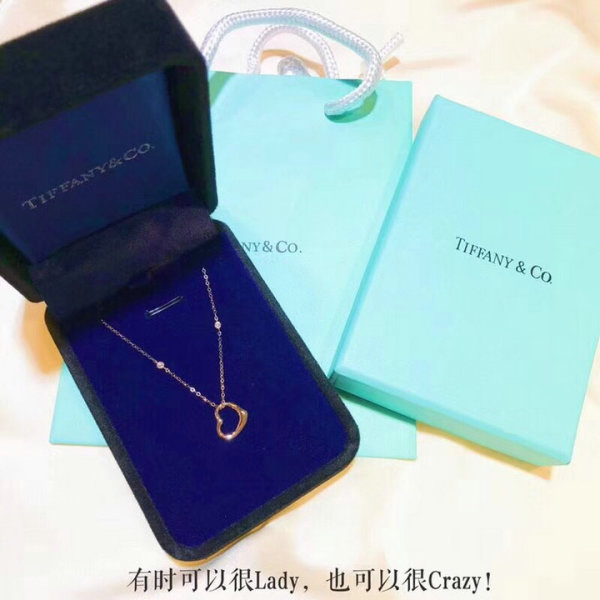 Tiffany Necklace (76)