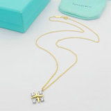 Tiffany Necklace (14)