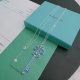 Tiffany Necklace (332)