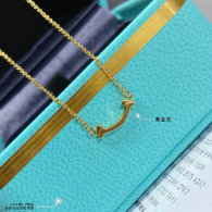 Tiffany Necklace (12)