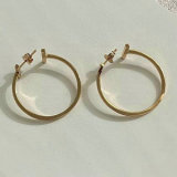 Tiffany Earrings (220)