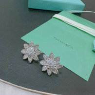 Tiffany Earrings (197)