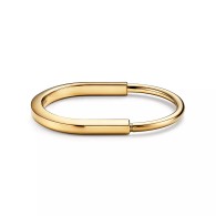 Tiffany-Bracelet (147)