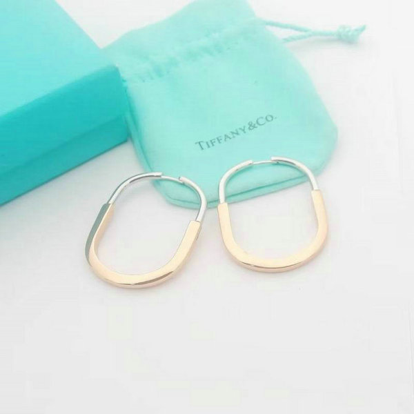 Tiffany Earrings (100)