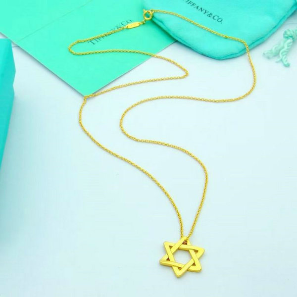 Tiffany Necklace (176)