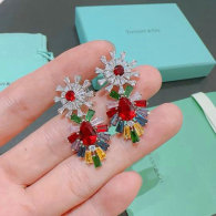 Tiffany Earrings (201)