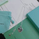 Tiffany Necklace (309)
