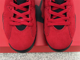 Authentic Air Jordan 6 “Toro”