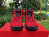 Authentic Air Jordan 6 “Toro”