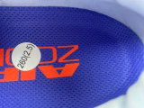 Nike Pegasus Premium（8）