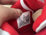Authentic Nigel Sylvester x Air Jordan 4 Bike