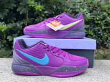 Authentic Nike JA 2 Preheat EP Purple