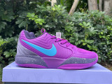 Authentic Nike JA 2 Preheat EP Purple