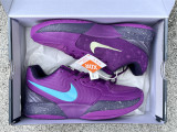 Authentic Nike JA 2 Preheat EP Purple