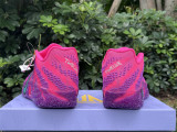 Authentic Nike JA 2 Preheat EP Purple/Red