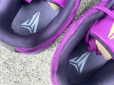 Authentic Nike JA 2 Preheat EP Purple