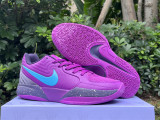 Authentic Nike JA 2 Preheat EP Purple